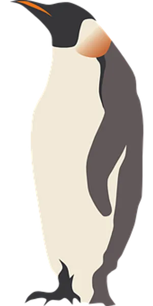 Emperor Penguin Illustration