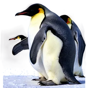 Emperor Penguin PNG 05062024