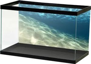 Empty Aquarium Sandy Bottom PNG