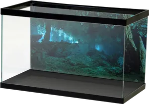 Empty Aquarium Setup PNG image