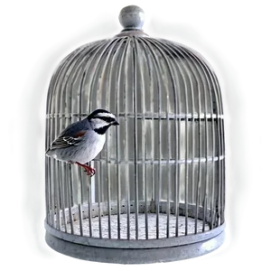 Empty Bird Cage PNG 98