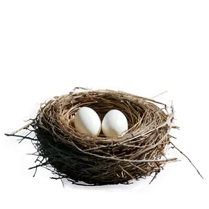 Empty Bird Nest PNG 05252024 PNG