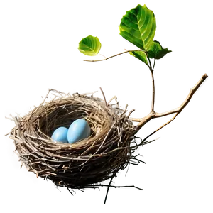 Empty Bird Nest Png Uqy9 PNG image