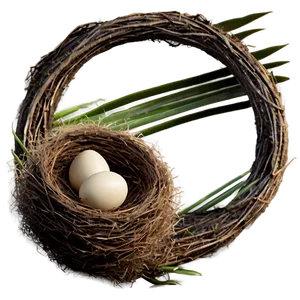 Empty Bird Nest Png Vjy PNG image