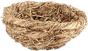 Empty Bird Nest Texture PNG