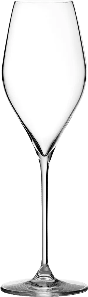 Empty Wine Glass PNG