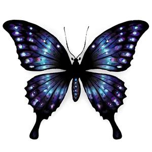 Enchanted Black Butterfly PNG Ixw