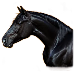 Enchanted Black Horse Magic PNG 06262024 PNG