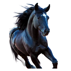 Enchanted Black Horse Magic PNG 73 PNG