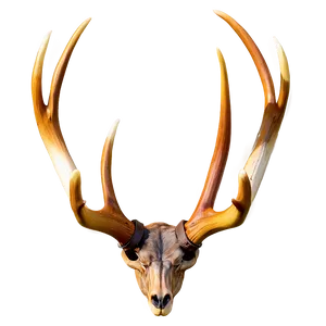 Enchanted Deer Antler PNG 78