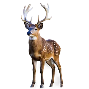 Enchanted Forest Buck PNG 06252024