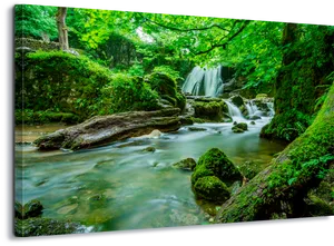 Enchanted Forest Waterfall Scene PNG image