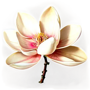Enchanted Magnolia Flower PNG 25 PNG