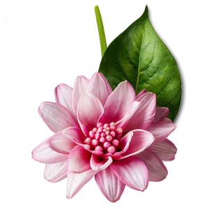Enchanted Pink Flower PNG Wdu