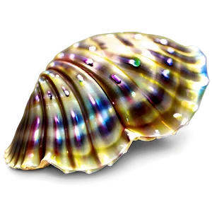 Enchanted Sea Shell Png 8 PNG image