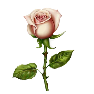 Enchanted Vintage Rose PNG 06292024 PNG