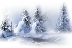 Enchanted_ Winter_ Forest_ Scene.jpg PNG image
