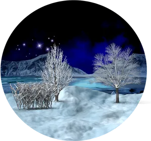 Enchanted_ Winter_ Night_ Scene