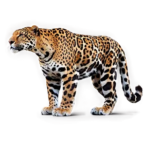 Endangered Jaguar PNG 7