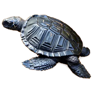 Endangered Leatherback Turtle PNG 47