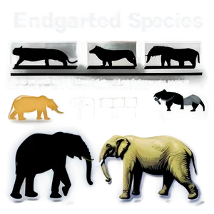 Endangered Species Infographic PNG 05242024