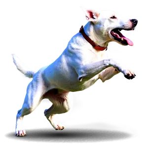 Energetic Dog Running Png Bkv77 PNG image