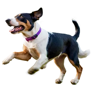 Energetic Dog Running Png Ywe PNG image