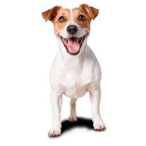Energetic Jack Russell Dog PNG Wck PNG