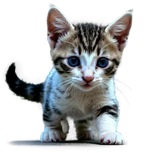 Engaging Kitten Adventure Png Qtq81 PNG image