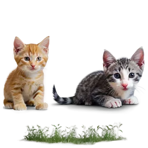 Engaging Kitten Adventure Png Tbg PNG image