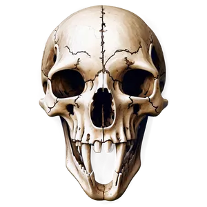 Engraved Animal Skull Sketch Png 06282024 PNG image