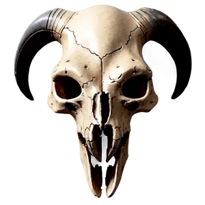 Engraved Animal Skull Sketch Png Tlh PNG image