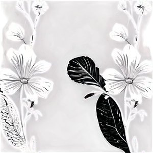 Engraved Black And White Flowers PNG 14 PNG