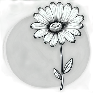 Engraved Black And White Flowers PNG 66 PNG