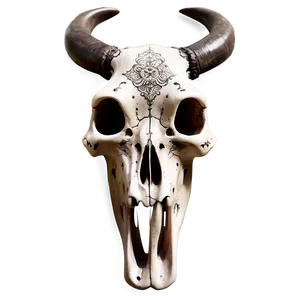 Engraved Bull Skull Image Png 06122024 PNG image