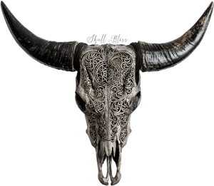 Engraved Goat Skullwith Horns PNG