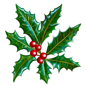 Engraved Holly PNG 56