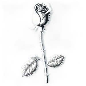 Engraved Rose Black And White Png 06132024 PNG image