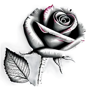 Engraved Rose Black And White Png 06132024 PNG image