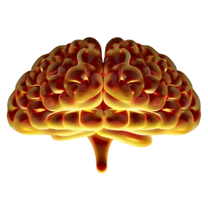 Enlightened Brain Emoji PNG 06132024