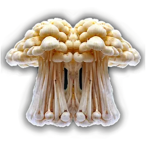 Enoki Mushrooms Png Jyj PNG image