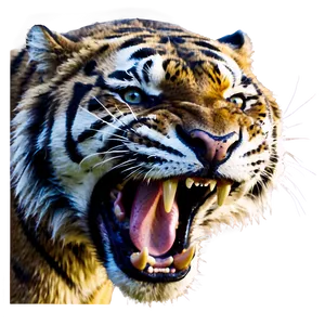 Enraged Tiger Roar PNG Nby63 PNG