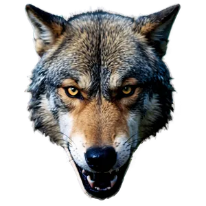 Enraged Wolf Face Expression PNG 06292024 PNG