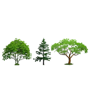 Environmental Tree Elevation PNG Vvb