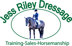 Equestrian Dressage Training Ad PNG image
