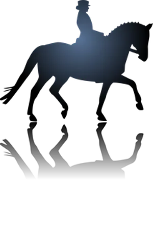 Equestrian Silhouette Black Background