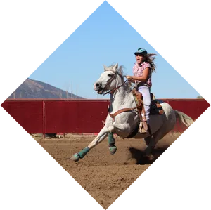 Equestrianin Action Galloping Horse.jpg PNG image