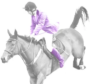 Equestrianin Purple Jacket Riding Horse PNG image