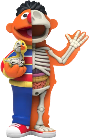 Ernie Anatomy Lesson Sesame Street PNG image