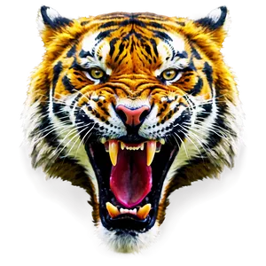 Erupting Anger Tiger PNG Htd PNG